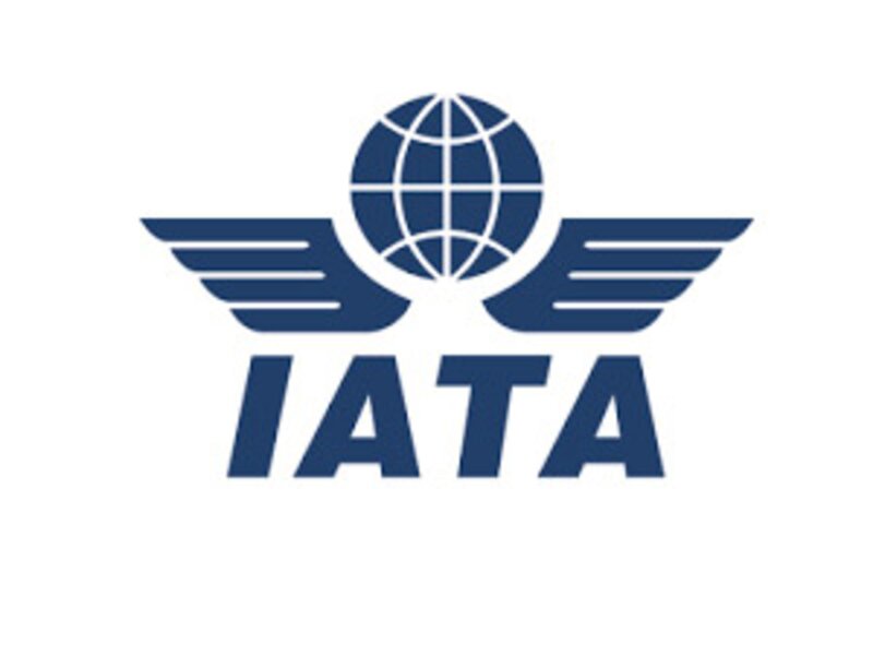 Tech firms forge partnership to implement Iata’s New Distribution Capability