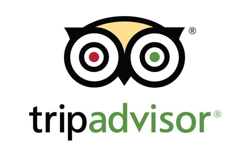 TripAdvisor shares dip as quarterly update falls short of expectations