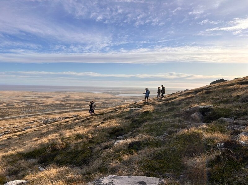 Official Falkland Islands app shines a light on archipelago